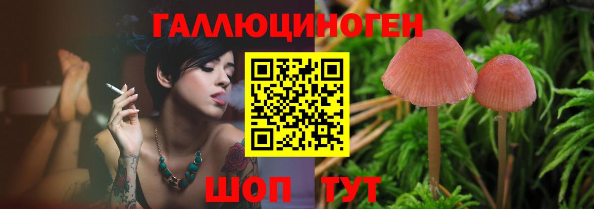 Галлюциногенные грибы Psilocybine cubensis  Псилоцибиновые грибы мицелий  Старая Купавна  Вход с VPN 
