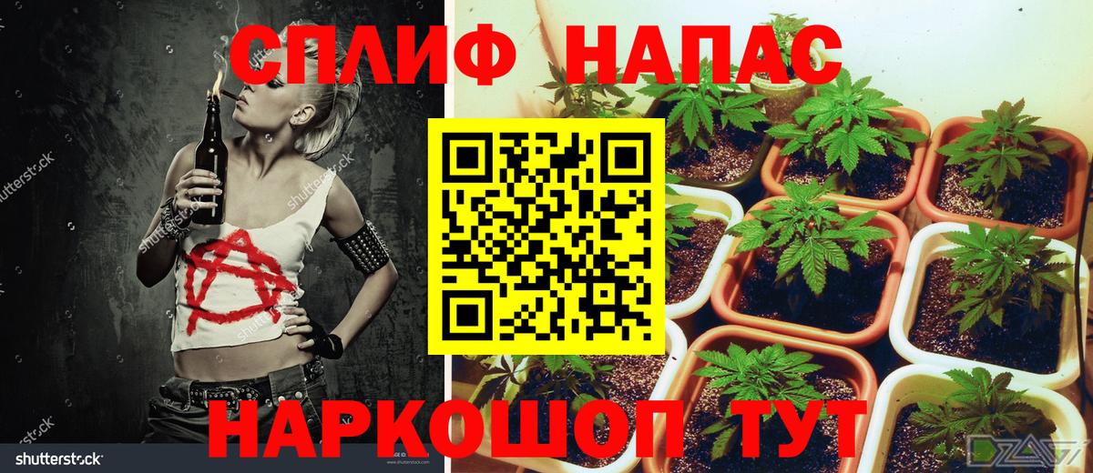 Каннабис White Widow Старая Купавна